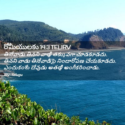 Picture 02 - రోమీయులకు 14:3 TELIRV - తినేవాడు తినని - Bible Verse Picture