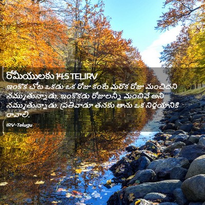 Picture 02 - రోమీయులకు 14:5 TELIRV - ఇంకొక చోట ఒకడు ఒక - Bible Verse Picture