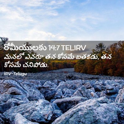 Picture 02 - రోమీయులకు 14:7 TELIRV - మనలో ఎవరూ తన కోసమే - Bible Verse Picture