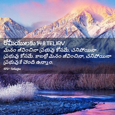 Picture 02 - రోమీయులకు 14:8 TELIRV - మనం జీవించినా - Bible Verse Picture