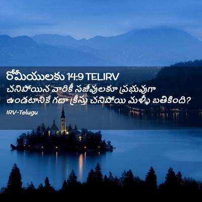 Picture 02 - రోమీయులకు 14:9 TELIRV - చనిపోయిన వారికీ - Bible Verse Picture