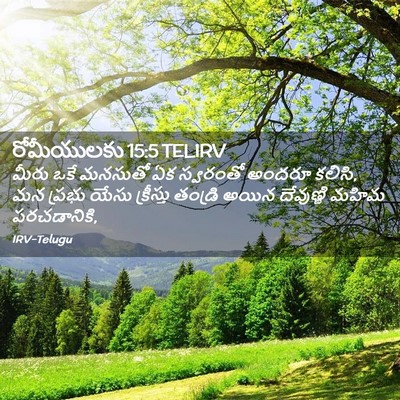 Picture 02 - రోమీయులకు 15:5 TELIRV - మీరు ఒకే మనసుతో ఏక - Bible Verse Picture