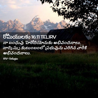 Picture 02 - రోమీయులకు 16:11 TELIRV - నా బంధువు - Bible Verse Picture