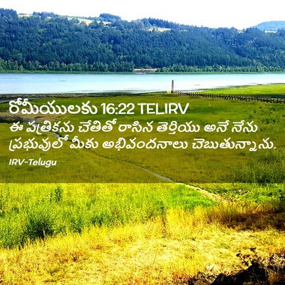 Picture 02 - రోమీయులకు 16:22 TELIRV - ఈ పత్రికను చేతితో - Bible Verse Picture