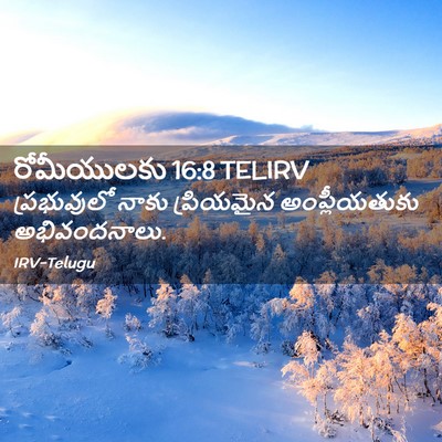 Picture 02 - రోమీయులకు 16:8 TELIRV - ప్రభువులో నాకు - Bible Verse Picture
