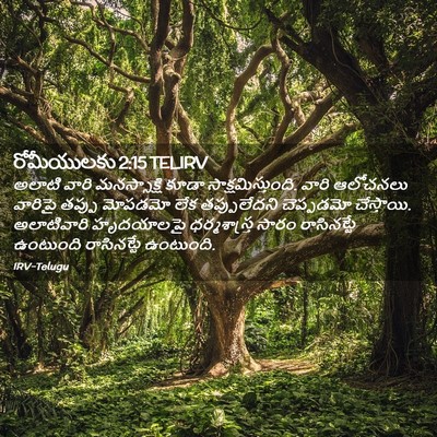 Picture 02 - రోమీయులకు 2:15 TELIRV - అలాటి వారి - Bible Verse Picture