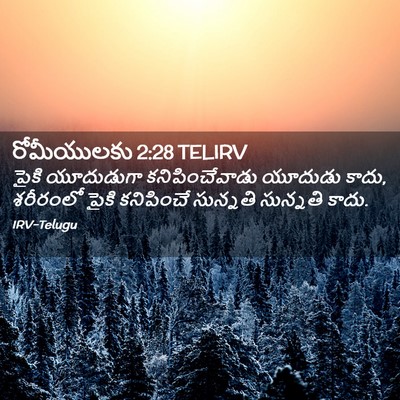 Picture 02 - రోమీయులకు 2:28 TELIRV - పైకి యూదుడుగా - Bible Verse Picture