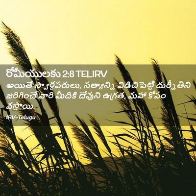 Picture 02 - రోమీయులకు 2:8 TELIRV - అయితే - Bible Verse Picture
