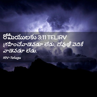 Picture 02 - రోమీయులకు 3:11 TELIRV - గ్రహించేవాడెవడూ - Bible Verse Picture