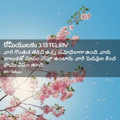 Picture 02 - రోమీయులకు 3:13 TELIRV - వారి గొంతుక తెరచి - Bible Verse Picture
