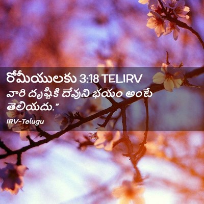 Picture 02 - రోమీయులకు 3:18 TELIRV - వారి దృష్టికి - Bible Verse Picture