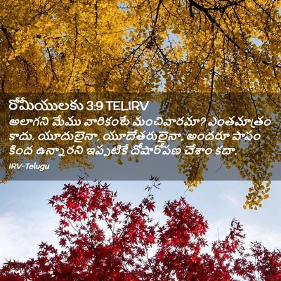 Picture 02 - రోమీయులకు 3:9 TELIRV - అలాగని మేము - Bible Verse Picture
