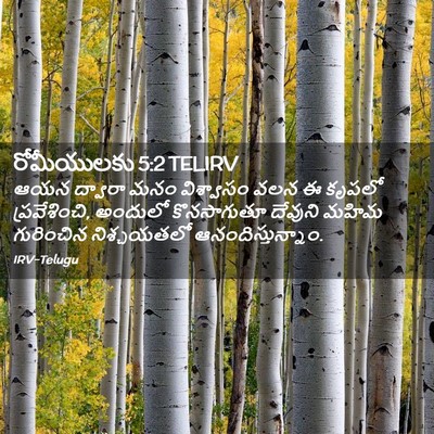 Picture 02 - రోమీయులకు 5:2 TELIRV - ఆయన ద్వారా మనం - Bible Verse Picture