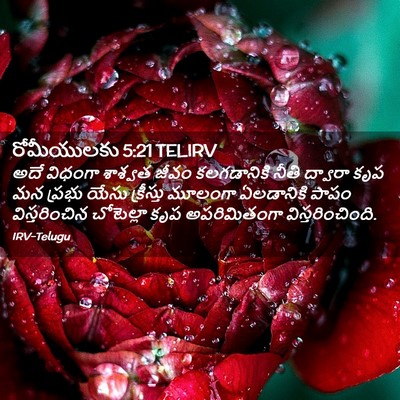 Picture 02 - రోమీయులకు 5:21 TELIRV - అదే విధంగా శాశ్వత - Bible Verse Picture