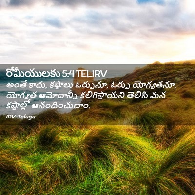 Picture 02 - రోమీయులకు 5:4 TELIRV - అంతే కాదు, కష్టాలు - Bible Verse Picture