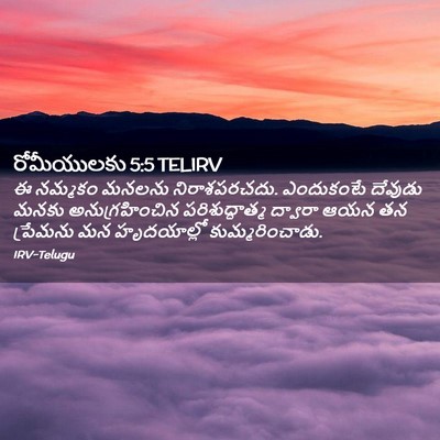 Picture 02 - రోమీయులకు 5:5 TELIRV - ఈ నమ్మకం మనలను - Bible Verse Picture