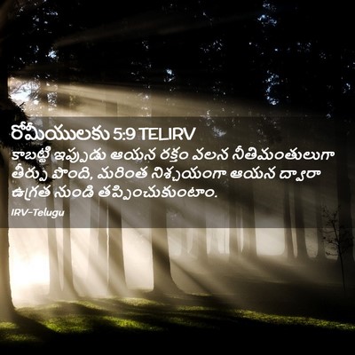 Picture 02 - రోమీయులకు 5:9 TELIRV - కాబట్టి ఇప్పుడు - Bible Verse Picture
