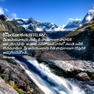 Picture 02 - రోమీయులకు 6:13 TELIRV - మీ అవయవాలను - Bible Verse Picture
