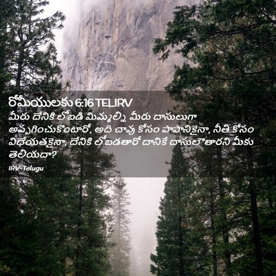 Picture 02 - రోమీయులకు 6:16 TELIRV - మీరు దేనికి లోబడి - Bible Verse Picture