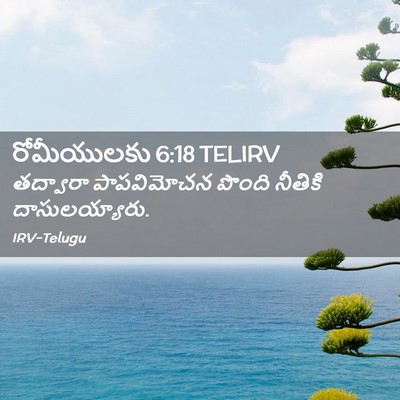 Picture 02 - రోమీయులకు 6:18 TELIRV - తద్వారా పాపవిమోచన - Bible Verse Picture
