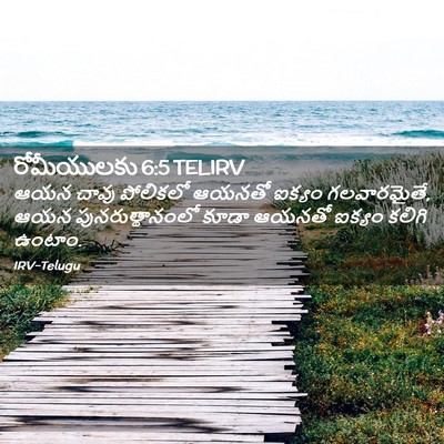 Picture 02 - రోమీయులకు 6:5 TELIRV - ఆయన చావు పోలికలో - Bible Verse Picture