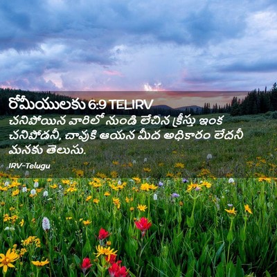 Picture 02 - రోమీయులకు 6:9 TELIRV - చనిపోయిన వారిలో - Bible Verse Picture
