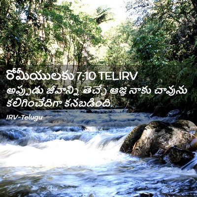 Picture 02 - రోమీయులకు 7:10 TELIRV - అప్పుడు జీవాన్ని - Bible Verse Picture
