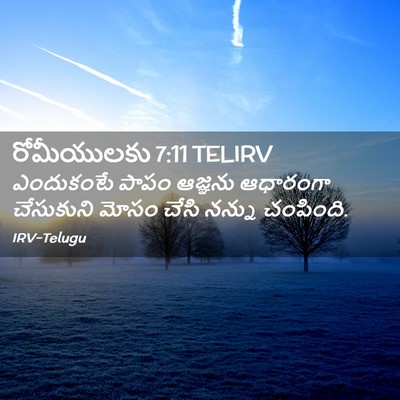 Picture 02 - రోమీయులకు 7:11 TELIRV - ఎందుకంటే పాపం - Bible Verse Picture