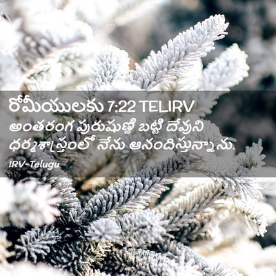 Picture 02 - రోమీయులకు 7:22 TELIRV - అంతరంగ పురుషుణ్ణి - Bible Verse Picture