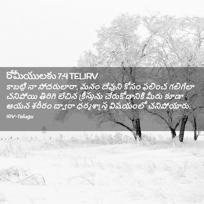 Picture 02 - రోమీయులకు 7:4 TELIRV - కాబట్టి నా - Bible Verse Picture