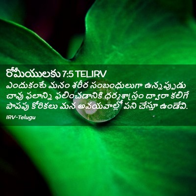 Picture 02 - రోమీయులకు 7:5 TELIRV - ఎందుకంటే మనం శరీర - Bible Verse Picture