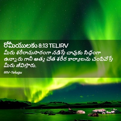 Picture 02 - రోమీయులకు 8:13 TELIRV - మీరు - Bible Verse Picture