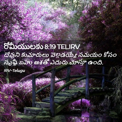 Picture 02 - రోమీయులకు 8:19 TELIRV - దేవుని కుమారులు - Bible Verse Picture