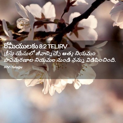 Picture 02 - రోమీయులకు 8:2 TELIRV - క్రీస్తు యేసులో - Bible Verse Picture