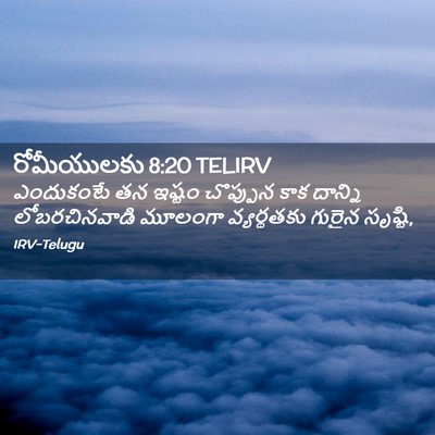Picture 02 - రోమీయులకు 8:20 TELIRV - ఎందుకంటే తన ఇష్టం - Bible Verse Picture