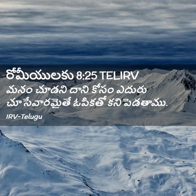 Picture 02 - రోమీయులకు 8:25 TELIRV - మనం చూడని దాని - Bible Verse Picture