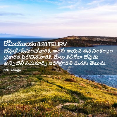 Picture 02 - రోమీయులకు 8:28 TELIRV - దేవుణ్ణి - Bible Verse Picture