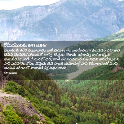 Picture 02 - రోమీయులకు 8:4 TELIRV - ఎలాగంటే శరీర - Bible Verse Picture