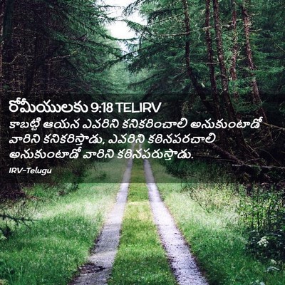 Picture 02 - రోమీయులకు 9:18 TELIRV - కాబట్టి ఆయన - Bible Verse Picture