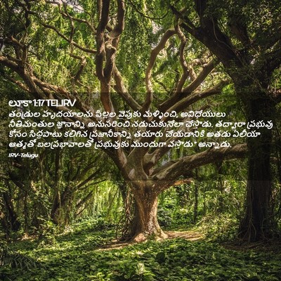 Picture 02 - లూకా 1:17 TELIRV - తండ్రుల హృదయాలను - Bible Verse Picture