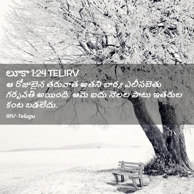 Picture 02 - లూకా 1:24 TELIRV - ఆ రోజులైన తరువాత - Bible Verse Picture