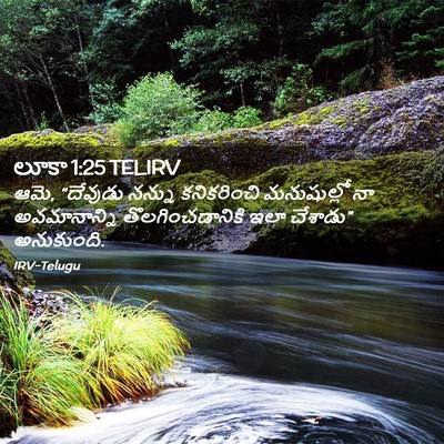 Picture 02 - లూకా 1:25 TELIRV - ఆమె, “దేవుడు నన్ను - Bible Verse Picture