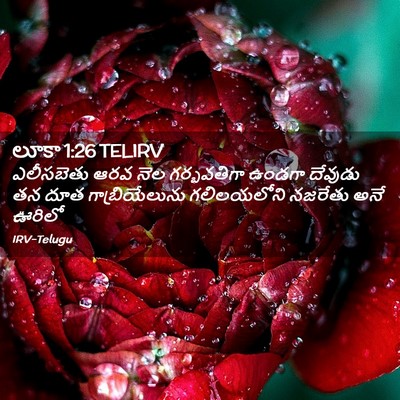 Picture 02 - లూకా 1:26 TELIRV - ఎలీసబెతు ఆరవ నెల - Bible Verse Picture