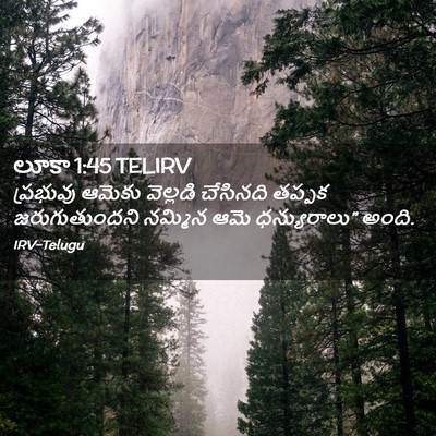 Picture 02 - లూకా 1:45 TELIRV - ప్రభువు ఆమెకు - Bible Verse Picture