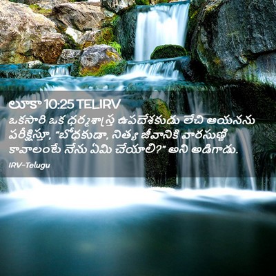 Picture 02 - లూకా 10:25 TELIRV - ఒకసారి ఒక - Bible Verse Picture