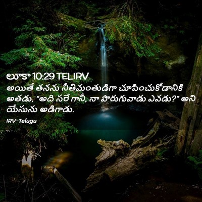 Picture 02 - లూకా 10:29 TELIRV - అయితే తనను - Bible Verse Picture