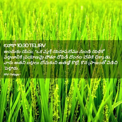Picture 02 - లూకా 10:30 TELIRV - అందుకు యేసు, “ఒక - Bible Verse Picture