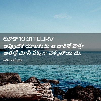 Picture 02 - లూకా 10:31 TELIRV - అప్పుడొక యాజకుడు - Bible Verse Picture