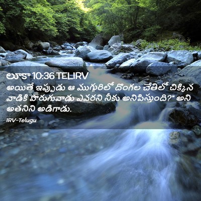 Picture 02 - లూకా 10:36 TELIRV - అయితే ఇప్పుడు ఆ - Bible Verse Picture