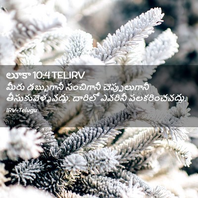 Picture 02 - లూకా 10:4 TELIRV - మీరు డబ్బుగానీ - Bible Verse Picture